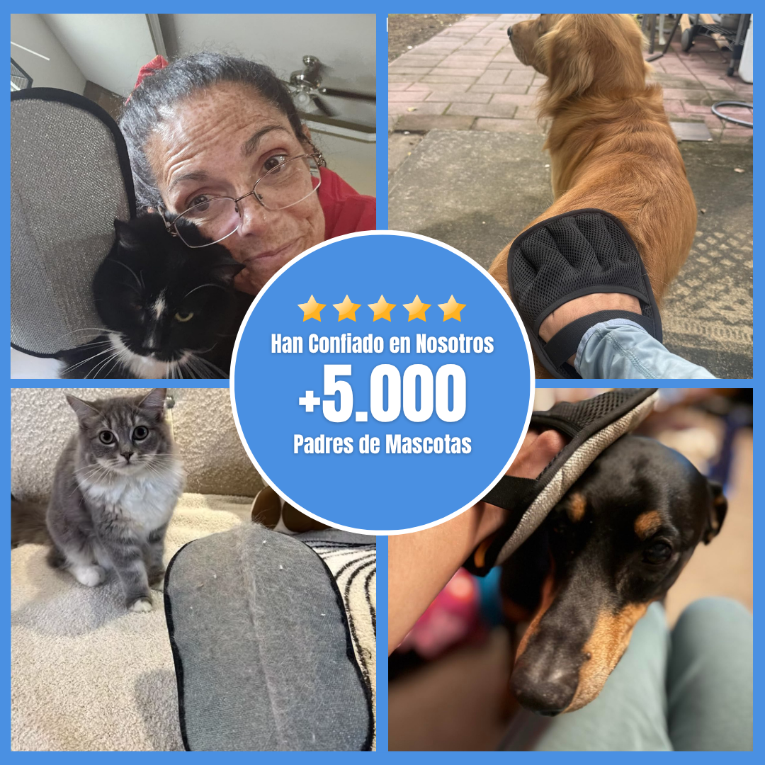 Paw Magic™ Mascota Limpia Casa Feliz