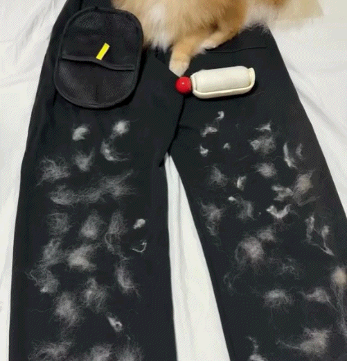Paw Magic™ Mascota Limpia Casa Feliz